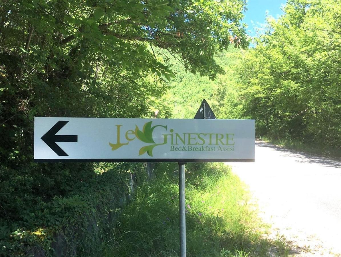 Le Ginestre Apartments أسيسي المظهر الخارجي الصورة