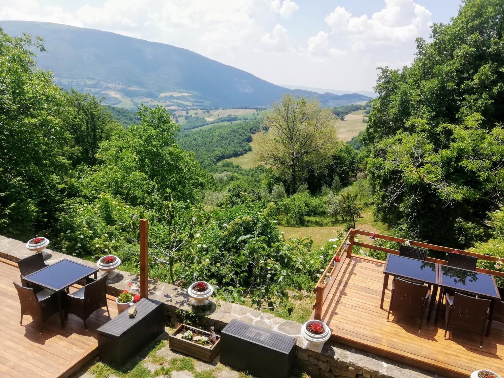 Le Ginestre Apartments أسيسي الغرفة الصورة